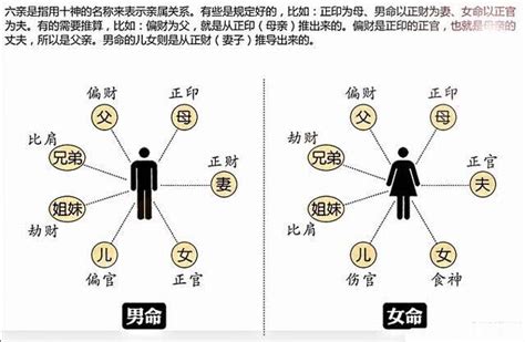 十神意思|命理八字中，“十神”的本质与运用